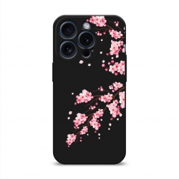 ������� ����������� ����� �������� ������ �� iPhone 15 Pro