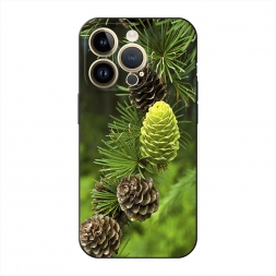 ������� ����������� ����� ��� 13 �� iPhone 14 Pro Max