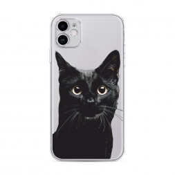����������� ����� ������ ��� 2 �� iPhone 11