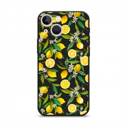 ������� ����������� ����� ������ ������ �� iPhone 13 mini