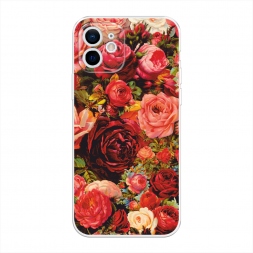 ����������� ����� ���� ��������� �� iPhone 12 mini