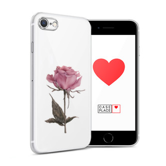 ����������� ����� ������������� ���� �� iPhone SE 2020