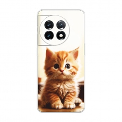 ����������� ����� ��������� ������ �� OnePlus 11