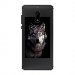 ����������� ����� ������ ������ �� Nokia 6