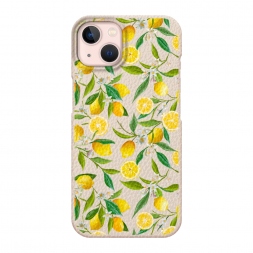  ������ ������ �� iPhone 13