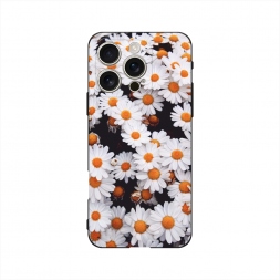������� ����������� ����� ���������� ���� �� iPhone 16 Pro