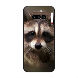 ������� ����������� ����� ���� �� Nothing Phone 4a