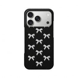 ������� ������ ����� ������� �� iPhone 17 Pro