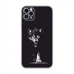 ����������� ����� ���� ������� �� ���� �� iPhone 11 Pro