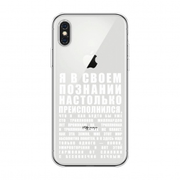 ����������� ����� ������������� � �������� �� iPhone XS Max (10S Max)