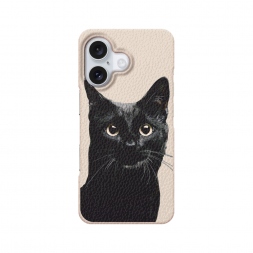 ������� ������� ������ ��� 2 �� iPhone 16