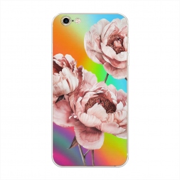 ����������� ����� ����������� ������ �� iPhone 6 Plus/6S Plus
