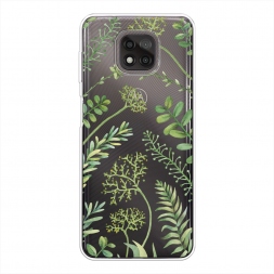 ����������� ����� Green Leaves �� Motorola Moto G Power 2021