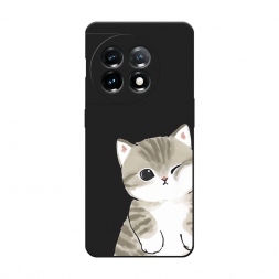 ������� ����������� ����� ������ ����� �� OnePlus 11