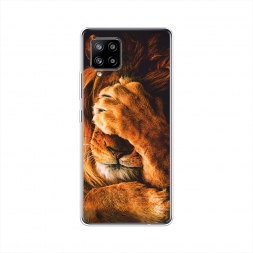 ����������� ����� ������� ���� �� Samsung Galaxy A42