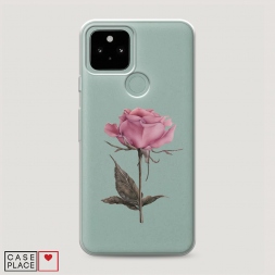����������� ����� ������������� ���� �� Google Pixel 5