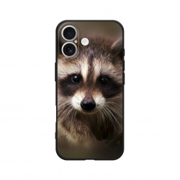 ������� ����������� ����� ���� �� iPhone 17