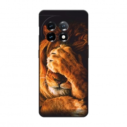 ������� ����������� ����� ������� ���� �� OnePlus 11