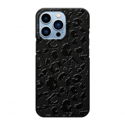 ������� ������ ׸���� ����������� ����� �� iPhone 13 Pro