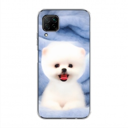 ����������� ����� ����� ���� �� Huawei Nova 6 SE