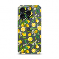 ����������� ����� ������ ������ �� iPhone 15 Pro
