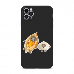 ������� ����������� ����� ���������� ������ �� iPhone 11 Pro