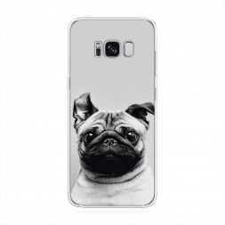 Силиконовый чехол Ушастый мопс на Samsung Galaxy S8