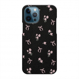  ���� � �������� �� iPhone 12 Pro Max