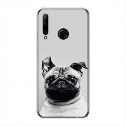 ����������� ����� ������� ���� �� Honor 20 Lite 2019