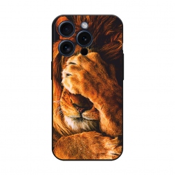 ������� ����������� ����� ������� ���� �� iPhone 15 Pro