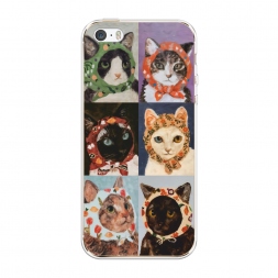 ����������� ����� ������� � ��������� �� iPhone 5/5S/SE