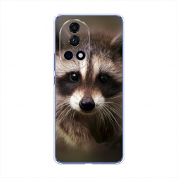 ����������� ����� ���� �� Huawei Nova 12 Pro