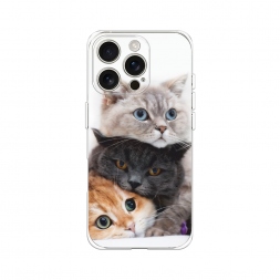 ����������� ����� �������� �������� �� iPhone 16 Pro