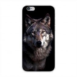 ����������� ����� ������ ������ �� iPhone 6