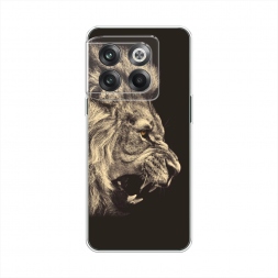 ����������� ����� ������� ��� 2 �� OnePlus 10T