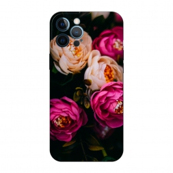 ������� ����������� ����� ������� ����� �� ������ �� iPhone 12 Pro Max