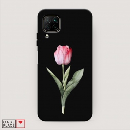 ������� ����������� ����� ������� ������� ���� �� Huawei Nova 6 SE