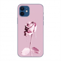 ����������� ����� ���� � ������ �� iPhone 12 Pro