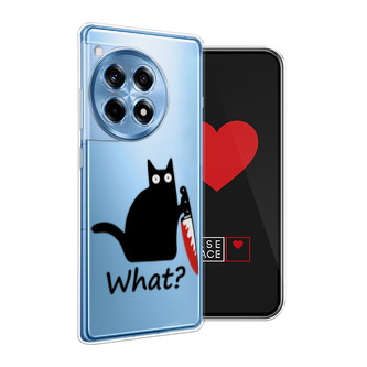 ����������� ����� ����� � ����� �� OnePlus 12R