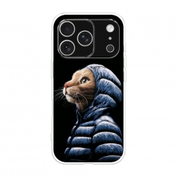 ����������� ����� ��� � �������� �� iPhone 17 Pro Max
