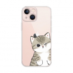 ����������� ����� ������ ����� �� iPhone 13 mini
