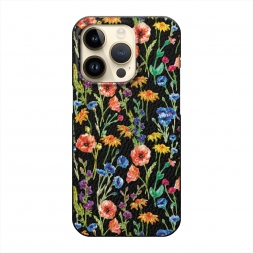  ���� � �������� ��� �� iPhone 14 Pro Max
