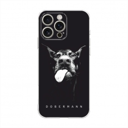 ����������� ����� ���� ��������� �� iPhone 16 Pro Max
