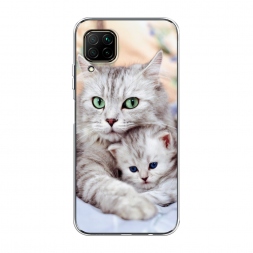 ����������� ����� ����� � ������ �� Huawei Nova 6 SE