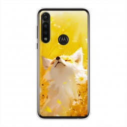 ����������� ����� ���� � ���� �� Motorola Moto G Power 2020