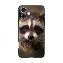 ������� ����������� ����� ���� �� iPhone 16 Plus