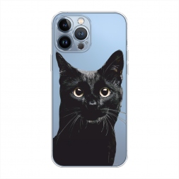 ����������� ����� ������ ��� 2 �� iPhone 13 Pro Max