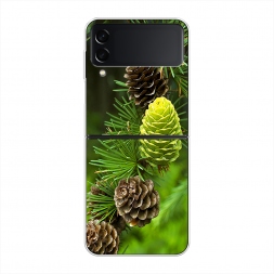 ����������� ����� ��� 13 �� Samsung Galaxy Z Flip 3