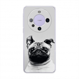 ����������� ����� ������� ���� �� Huawei Mate 60 Pro