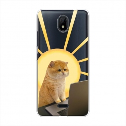 ����������� ����� �������� �������� �� Nokia C100